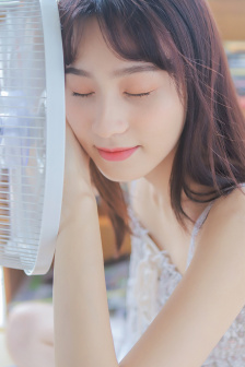 情感战争电视剧全集